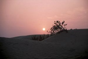 tramonto nel deserto